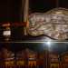 Un presepe allestito all'interno di una chitarra
